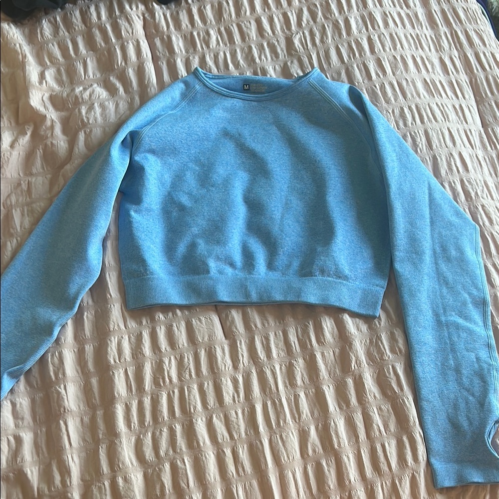 Light Blue Cropped Sweatshirt